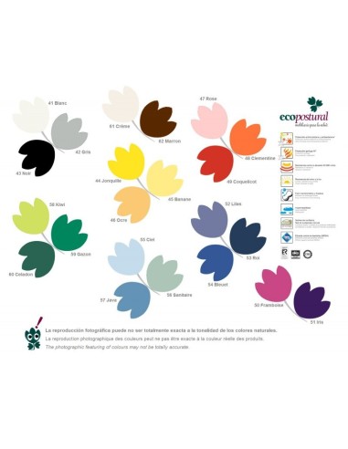 Gama colores para camillas eléctricas ECOPOSTURAL